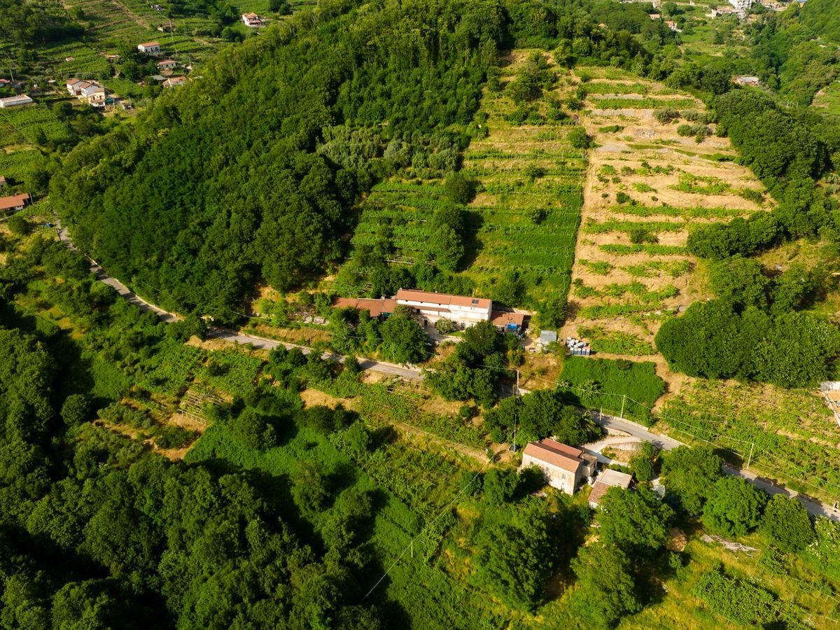 Zekeriyaköy'de İmarlı Villa Arsası 3